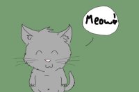 Meowsy Kitty