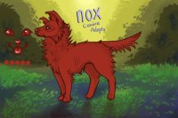 Nox | Canine Adopts | ANNOUNCEMENT Pg. 28 | Closed