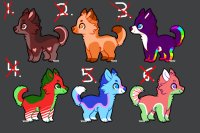 Puppers for sale! <3