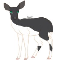 Teak Deer Artist Search -- Entry One