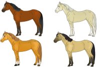 Horse colours