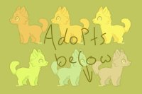 Adopt Set (2/6)