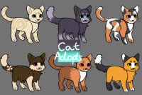 Cat Adopts!