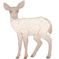 Teak Deer - #061
