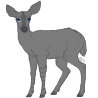 Teak Deer - #062