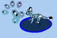 Blue Spotty Cat