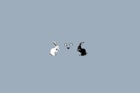 Odd Cat & Rabbit Semi-MYO
