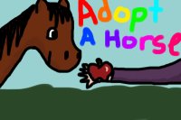 Adopt a Horse!