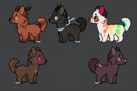 adopts- 1/5 open