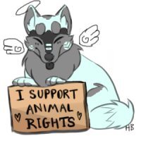“I support animal rights”
