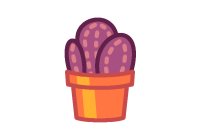 Lil Cactus 2