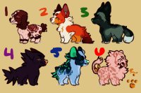 coming back adoptables