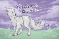 Patchwork Angunis | Canine Adopts