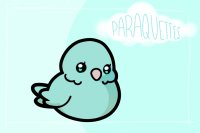 [NEW!] Paraquette Adopts