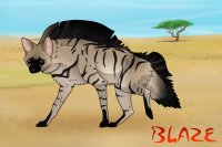 Blaze - Aardwolf Adopt