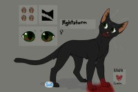 Nightstorm || the murderous queen