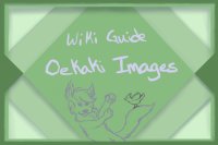 Wiki Guide Oekaki - Cover