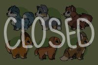 Canine Adopts (CLOSED)