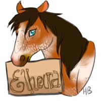 Paint Horse Avatar
