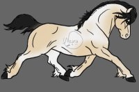 Lacey's Pony