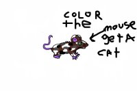 color the mouse and get a cat