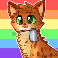 firespirit said gay rights