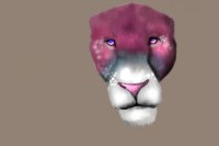 WIP Lion Head