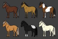 Horses adoption sheet