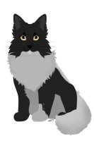 carys @dimi carys @dimi