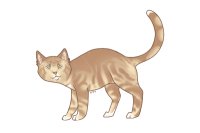 mercury @dimi mercury @dimi