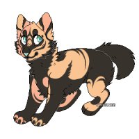 new character new character