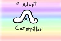 Adopt a free caterpillar!!
