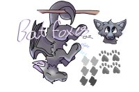 Bat Foxes | DISCORD!