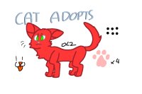 Cat adopts