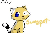 For Warrior Cat Mate Contest