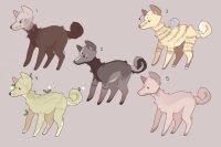 dog adopts! (#3 available)