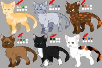 Cat Adopts All Claimed