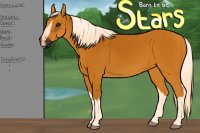 Born to be STARS / /horse arpg