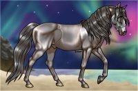 PAHS #1 Silvery Grey Stallion