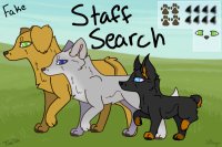 WILD - Staff Search - OPEN
