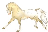 Elhoura's Horses