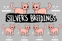 silver's cat breedings