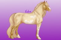 Flaxen Gold Champagne Roan Overo