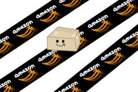 Amazon Box Apocalypse