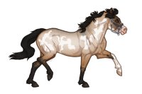 Ferox Welsh Pony #309 - Bay Dun Roan Overo