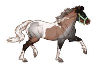 Ferox Welsh Pony #315 - Chimeric Dun/Roan Tobiano
