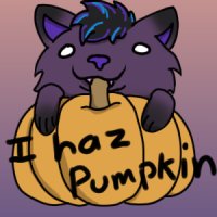 I haz pumpkin