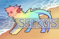 Selkoi Adopts V.1 [New Thread!]