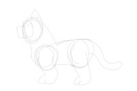 drawing cats?