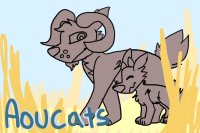 Aoucats [Closed Species] WIP, Do not post